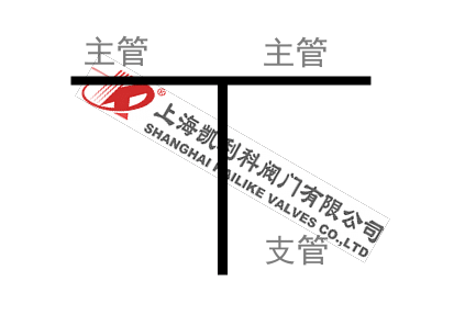 对焊连接直流式T型过滤器管路支管图